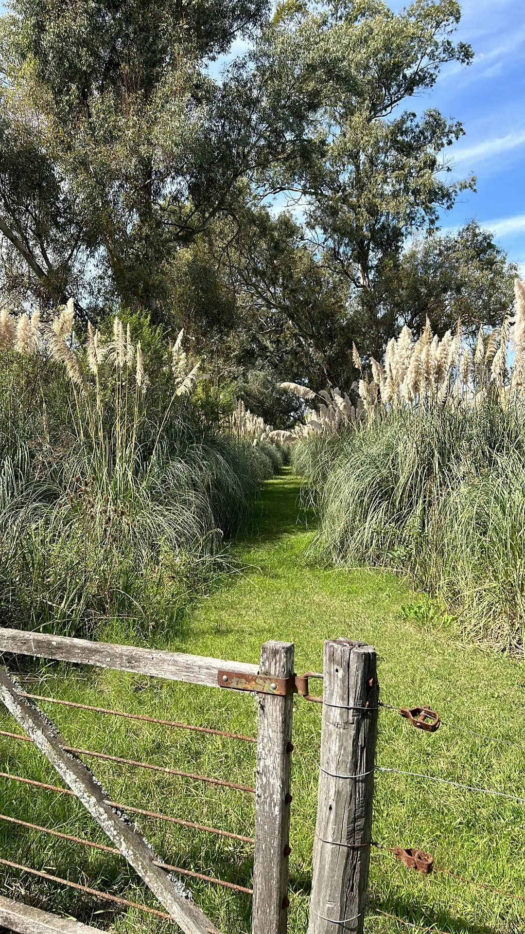 Tranquera de madera y alambrado de campo junto a un sendero cortado