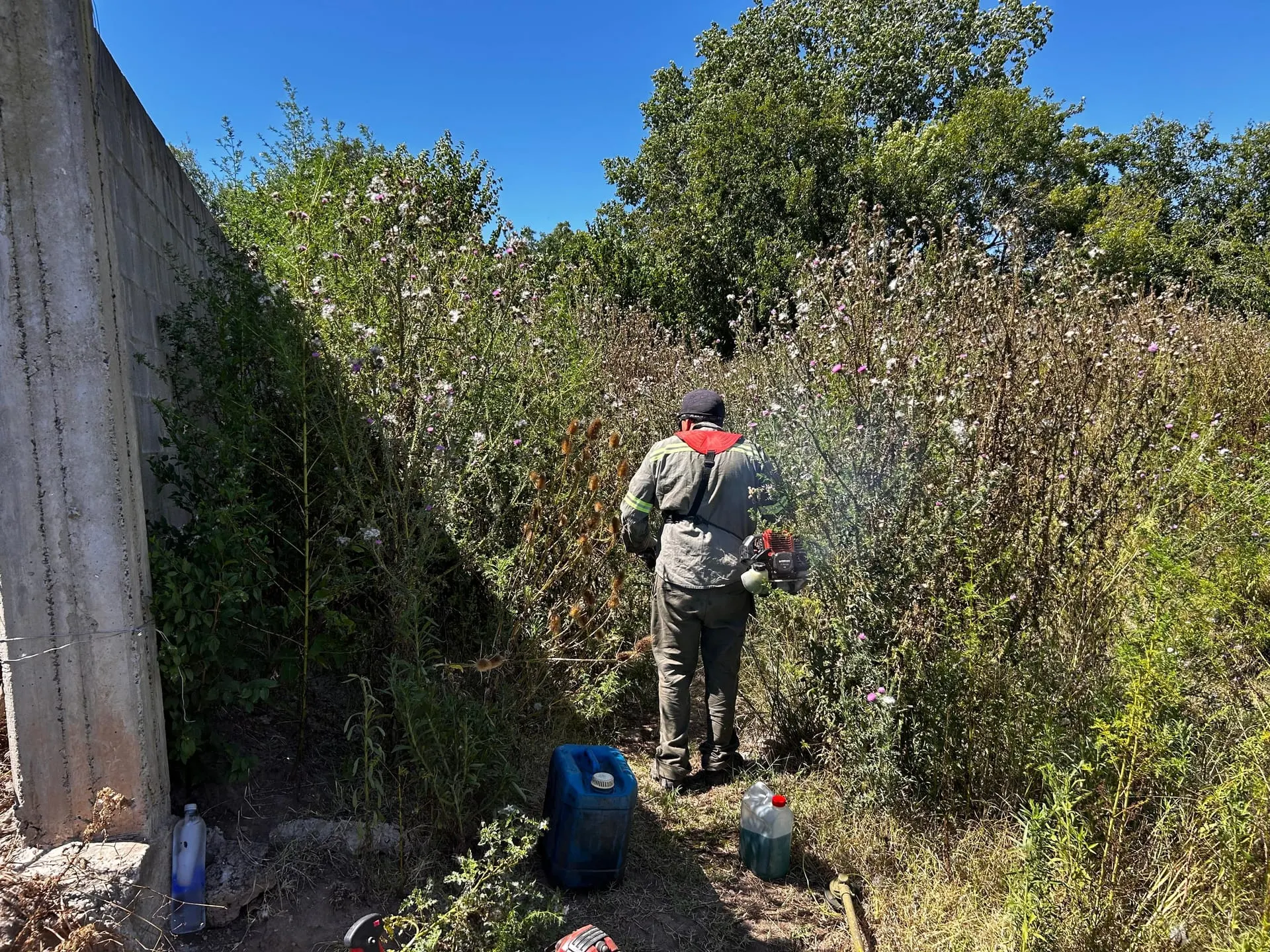 Operario desmalezando con motoguadaña un terreno junto a un muro